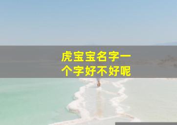 虎宝宝名字一个字好不好呢