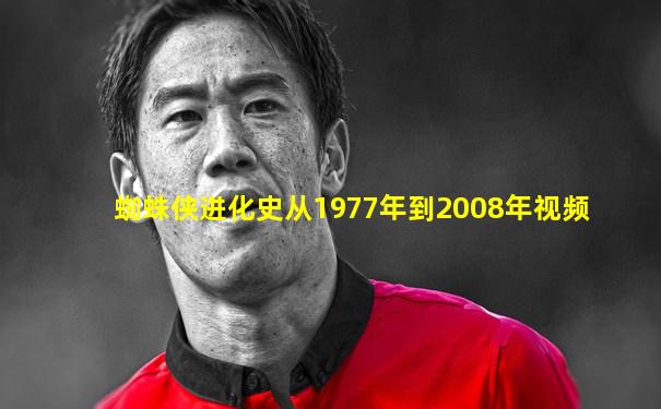 蜘蛛侠进化史从1977年到2008年视频