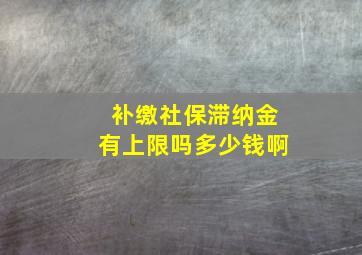 补缴社保滞纳金有上限吗多少钱啊