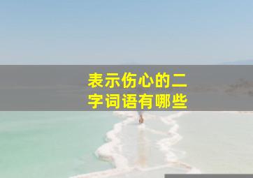 表示伤心的二字词语有哪些