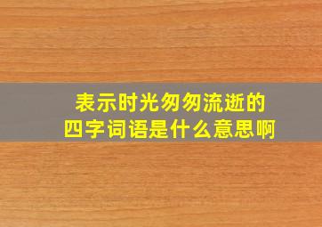 表示时光匆匆流逝的四字词语是什么意思啊