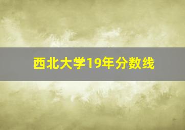 西北大学19年分数线