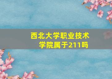 西北大学职业技术学院属于211吗