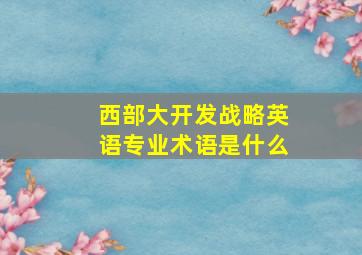 西部大开发战略英语专业术语是什么