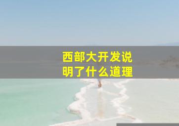 西部大开发说明了什么道理