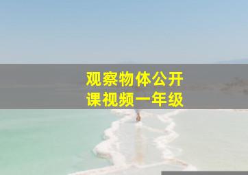 观察物体公开课视频一年级