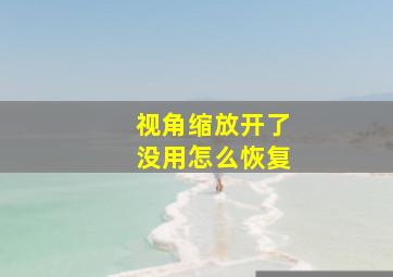 视角缩放开了没用怎么恢复