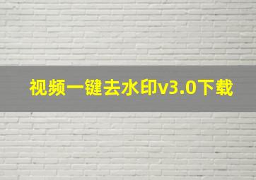 视频一键去水印v3.0下载