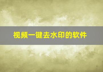 视频一键去水印的软件