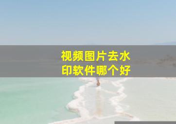 视频图片去水印软件哪个好