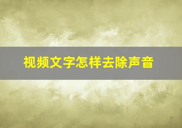 视频文字怎样去除声音