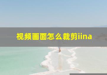 视频画面怎么裁剪iina