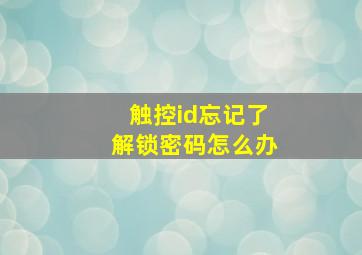 触控id忘记了解锁密码怎么办