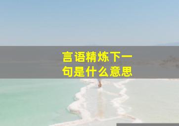 言语精炼下一句是什么意思