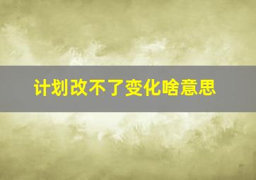 计划改不了变化啥意思