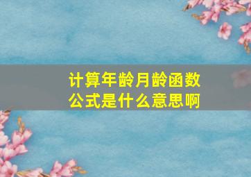 计算年龄月龄函数公式是什么意思啊