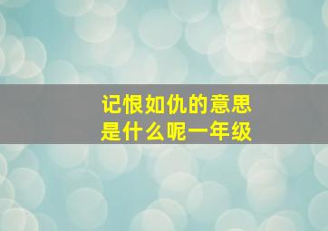 记恨如仇的意思是什么呢一年级