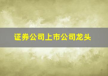 证券公司上市公司龙头