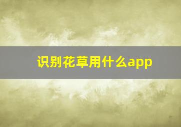 识别花草用什么app