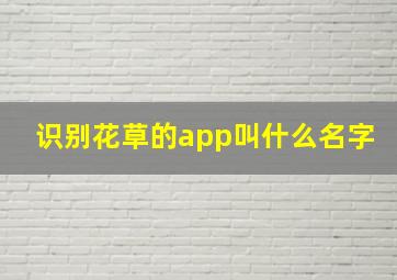 识别花草的app叫什么名字