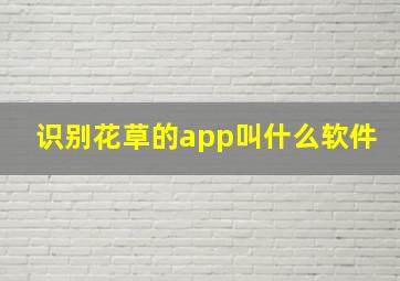 识别花草的app叫什么软件