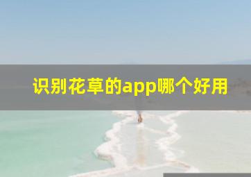 识别花草的app哪个好用