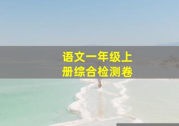 语文一年级上册综合检测卷