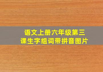 语文上册六年级第三课生字组词带拼音图片