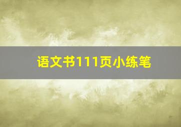 语文书111页小练笔