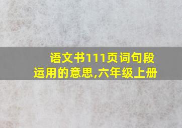 语文书111页词句段运用的意思,六年级上册