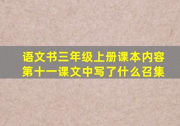 语文书三年级上册课本内容第十一课文中写了什么召集