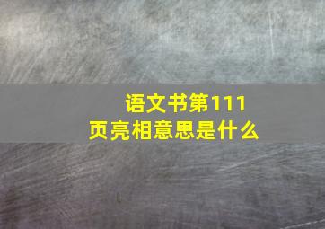 语文书第111页亮相意思是什么