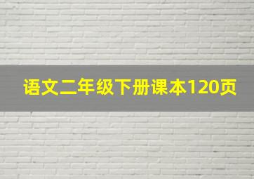 语文二年级下册课本120页