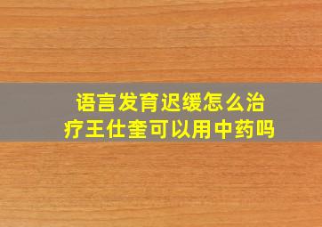 语言发育迟缓怎么治疗王仕奎可以用中药吗