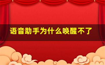 语音助手为什么唤醒不了