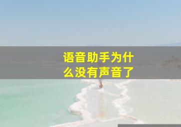 语音助手为什么没有声音了