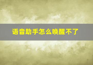 语音助手怎么唤醒不了