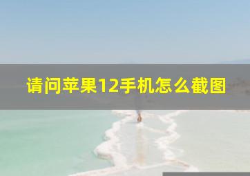 请问苹果12手机怎么截图