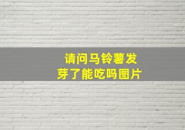 请问马铃薯发芽了能吃吗图片