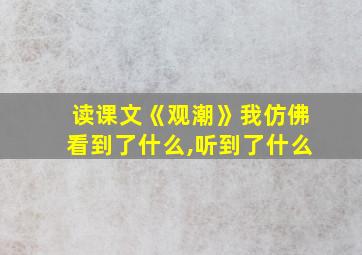 读课文《观潮》我仿佛看到了什么,听到了什么