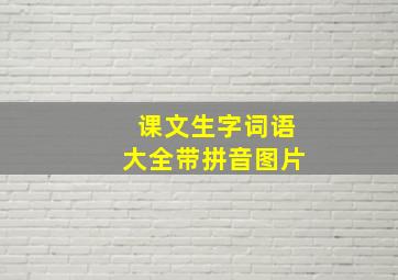 课文生字词语大全带拼音图片