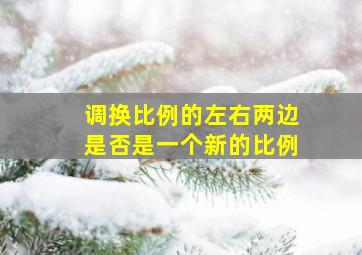 调换比例的左右两边是否是一个新的比例