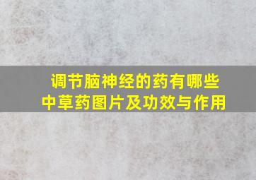 调节脑神经的药有哪些中草药图片及功效与作用