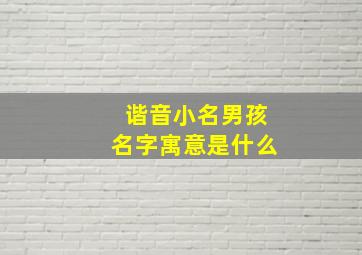 谐音小名男孩名字寓意是什么