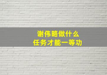 谢伟略做什么任务才能一等功