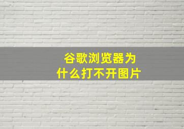 谷歌浏览器为什么打不开图片