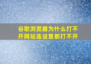 谷歌浏览器为什么打不开网站连设置都打不开