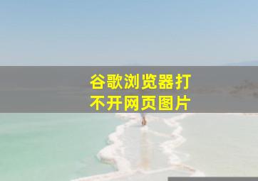 谷歌浏览器打不开网页图片