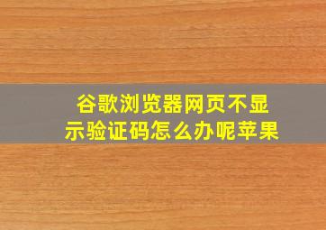 谷歌浏览器网页不显示验证码怎么办呢苹果