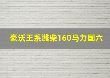 豪沃王系潍柴160马力国六